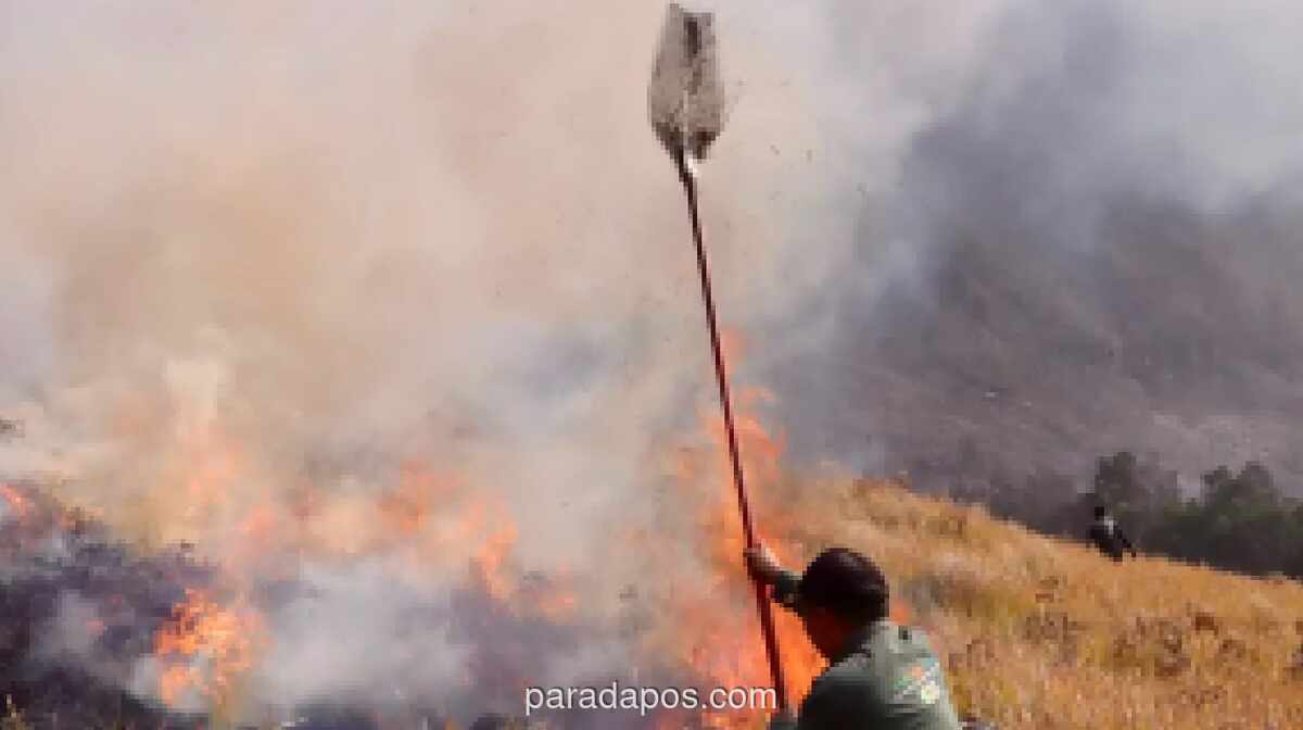 Kebakaran Bromo Diduga Dipicu Perapian Pelintas Jalur Tradisional, TNBTS Fokus Padamkan Api