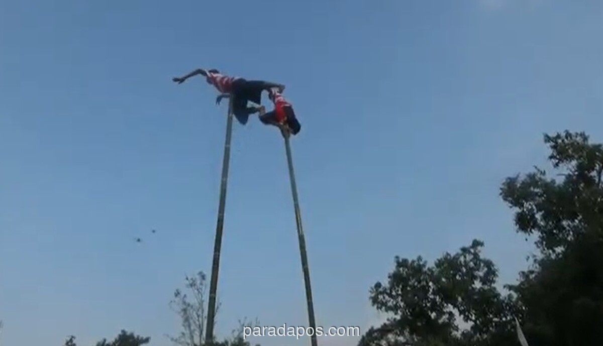 Ritual Adat Pojhien Digelar di Bondowoso, Penari Liuk di Atas Bambu 12 Meter Tanpa Pengaman