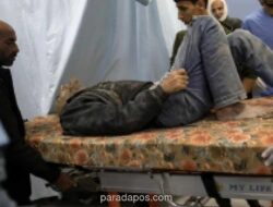 WHO: 12.913 Pasien Gaza Dievakuasi sejak Oktober 2023, Ribuan Lainnya Masih Menunggu